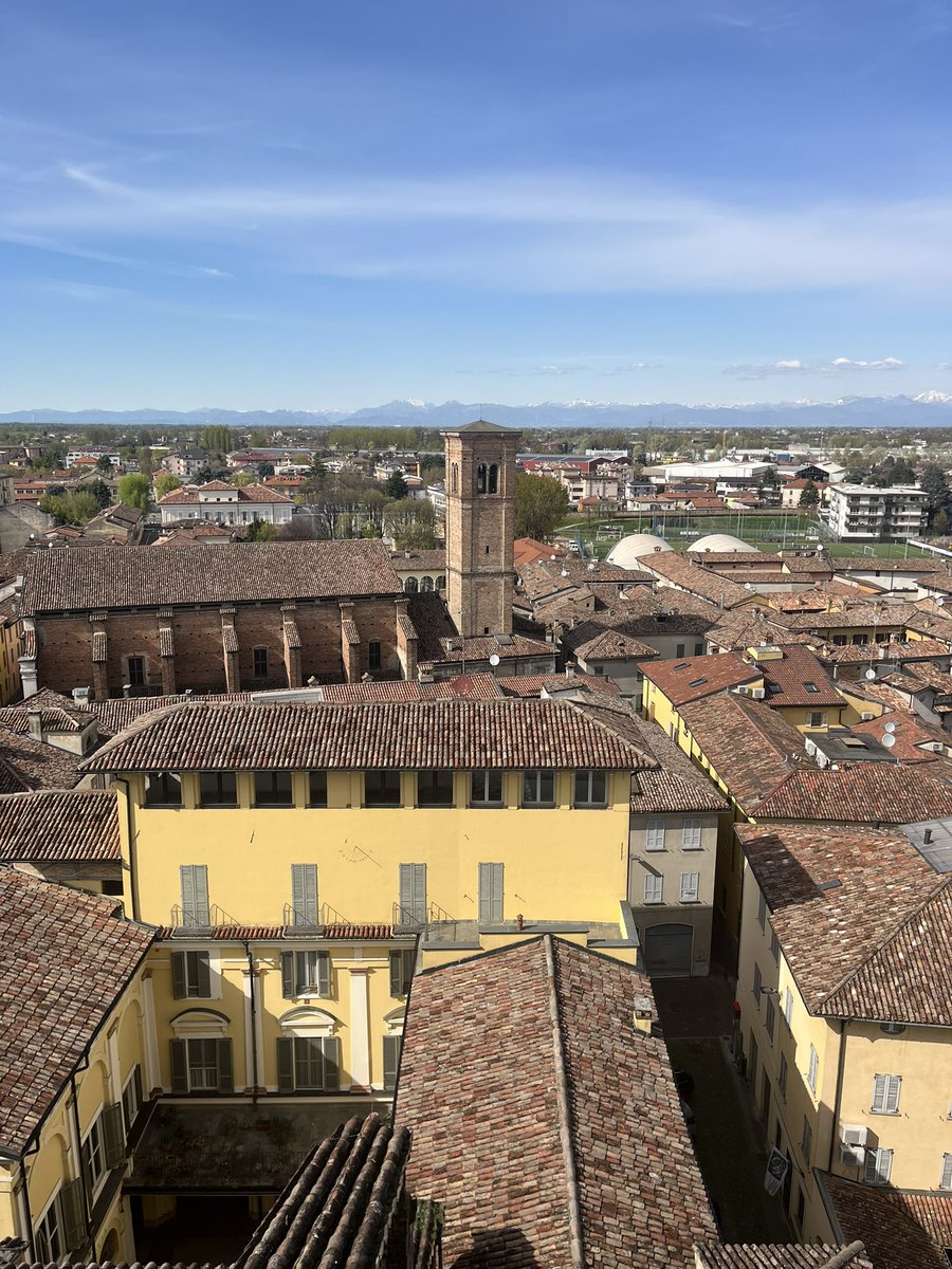 𝐒𝐮𝐫𝐢catosvedese tweet media