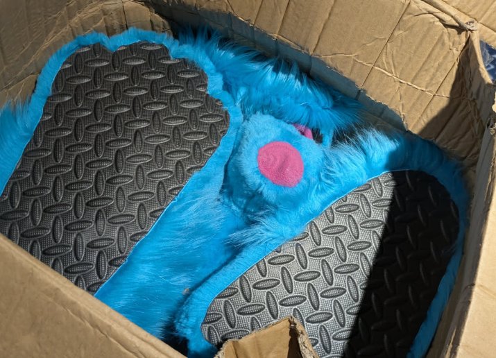 BlakeHusky🐾🦴 tweet media