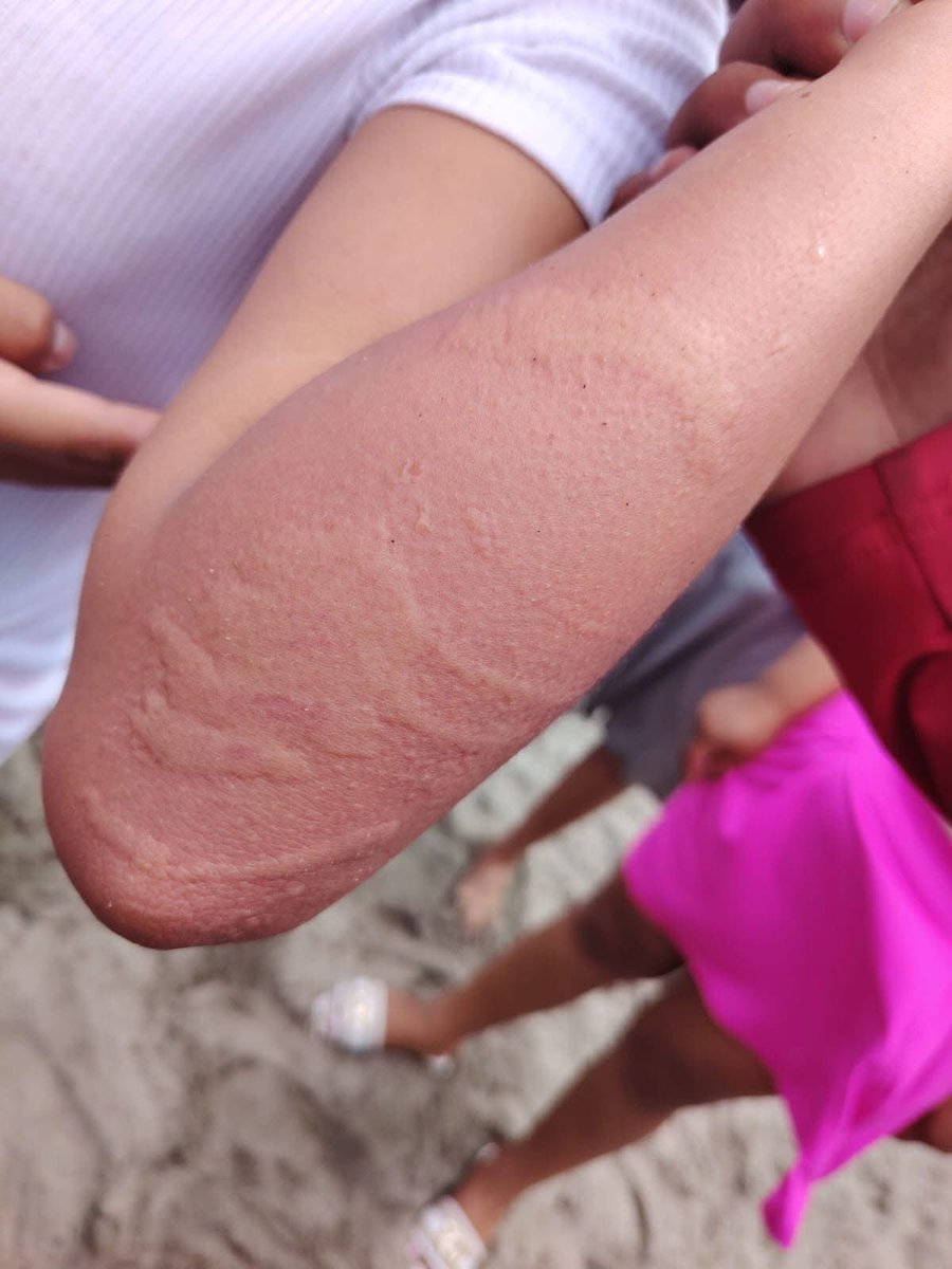 Desde Las Calles tweet media