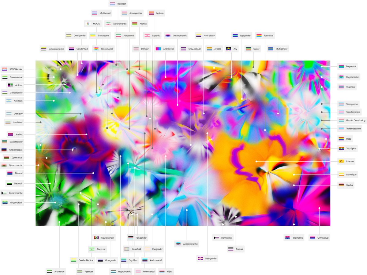 Transactivismo Feminista tweet media