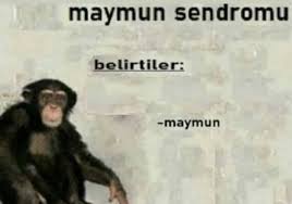 Markeloff tweet media