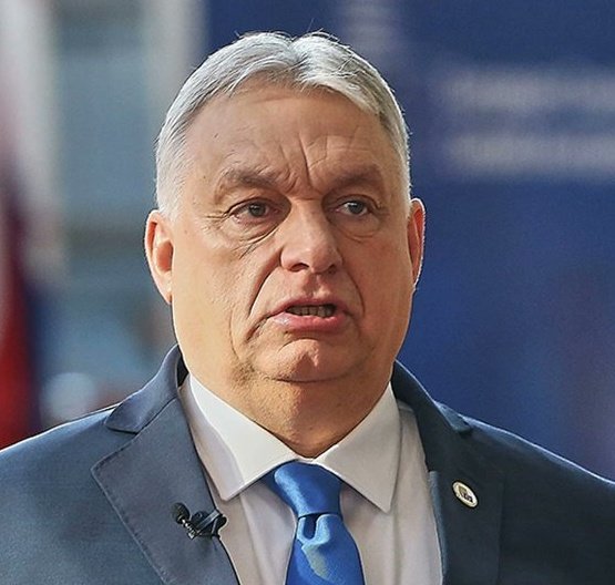 Adam Moczar tweet media