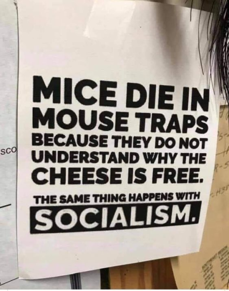 broman2model1898 tweet media