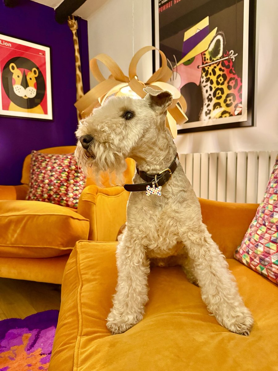 Bertie Lakeland tweet media