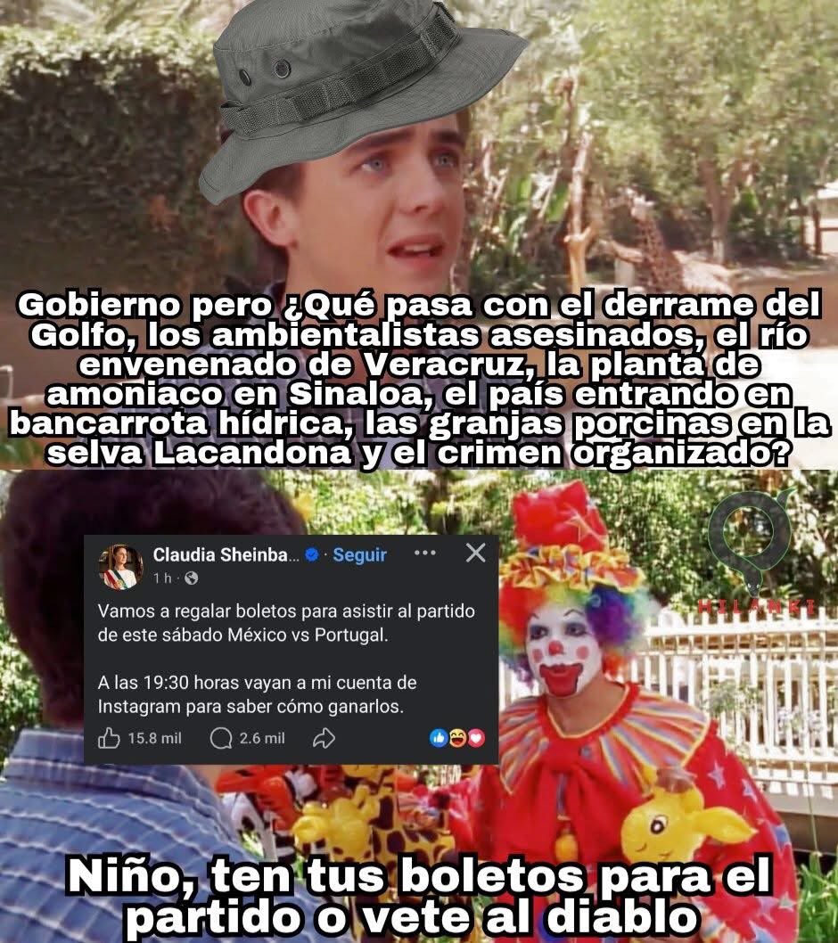 Majo Astorga tweet media