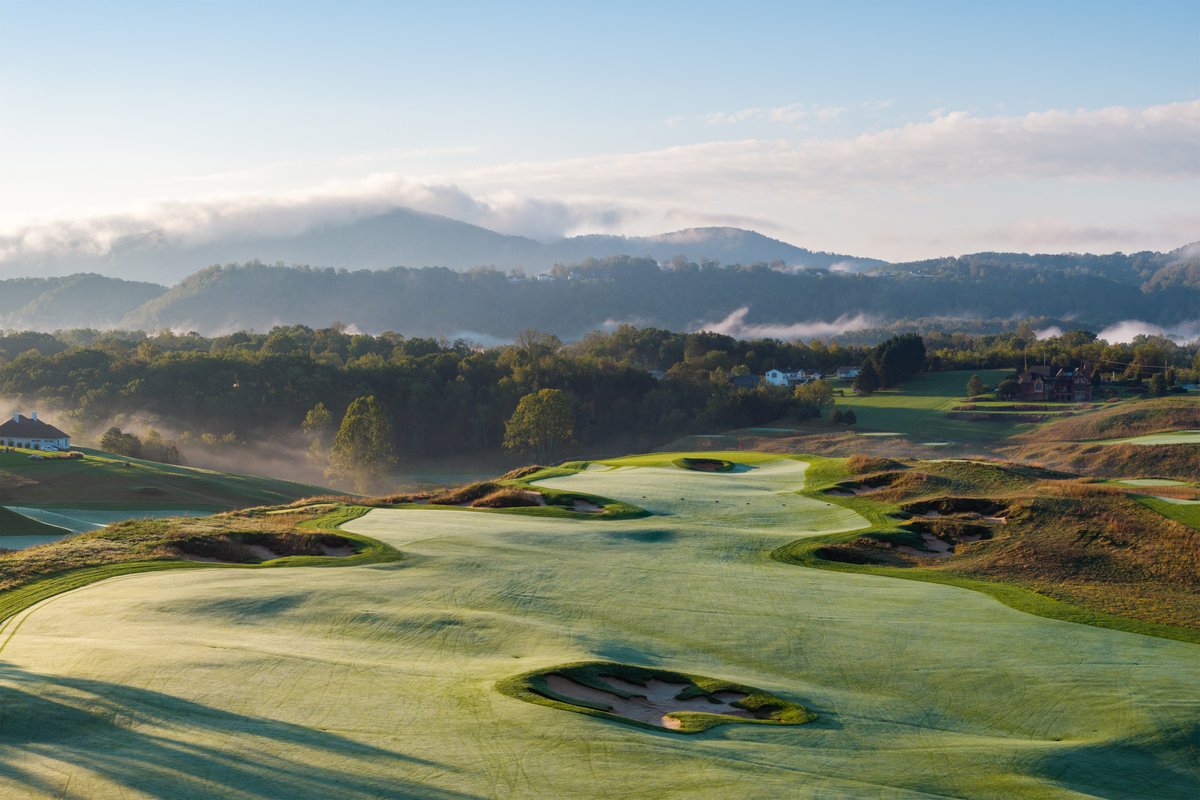 Dormie Network tweet media