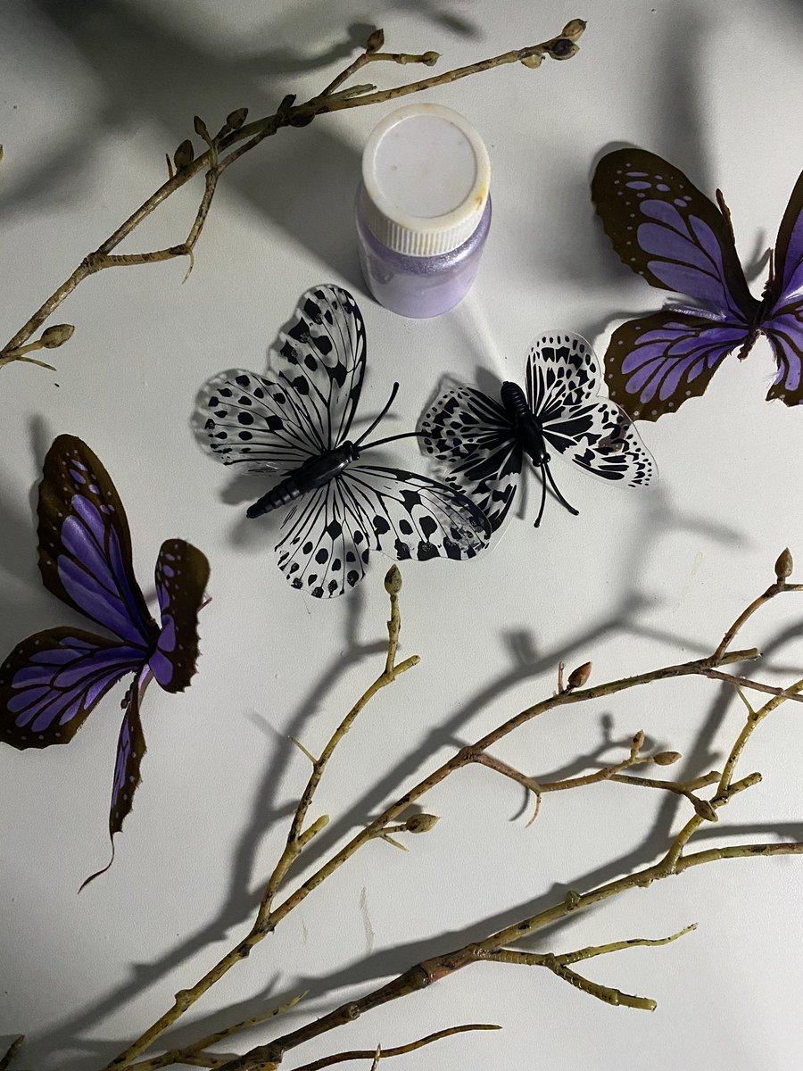 Shahad ✨ tweet media