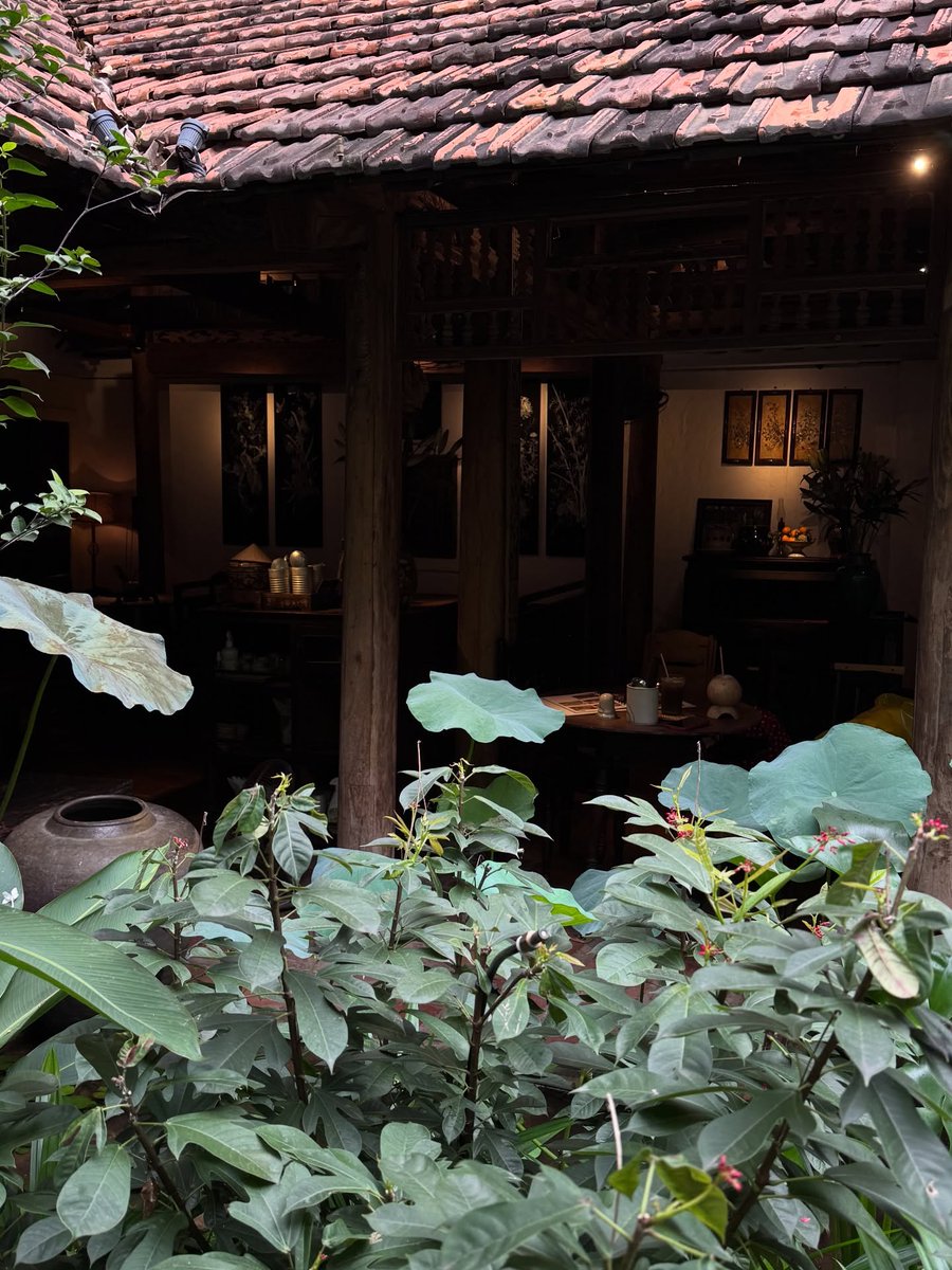 nestle salazar tweet media