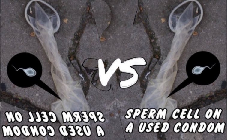 𝑄𝑢𝑒𝑛𝑡𝑖𝑛 ! 🐙 Di♡e tweet media