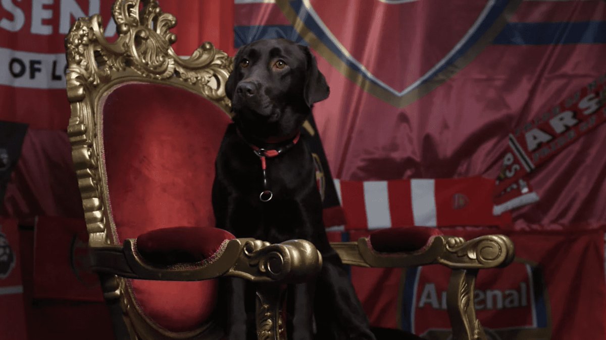 Røxy ❤🤍🌻 tweet media