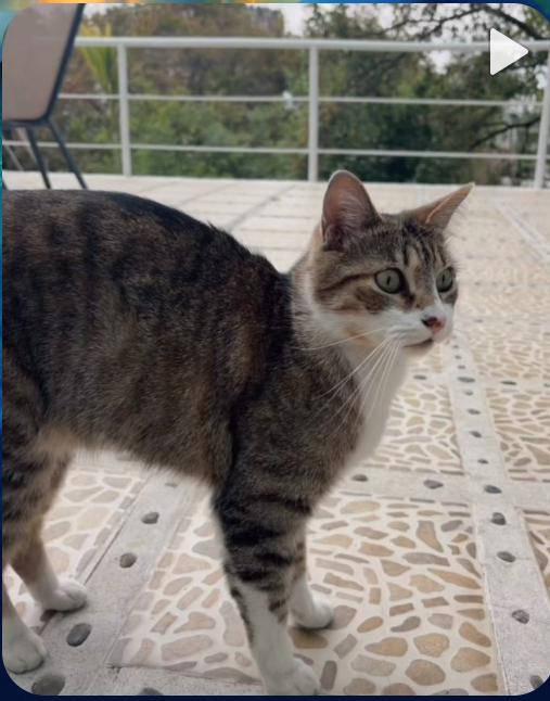 Team Elainers Oficial 💖 tweet media