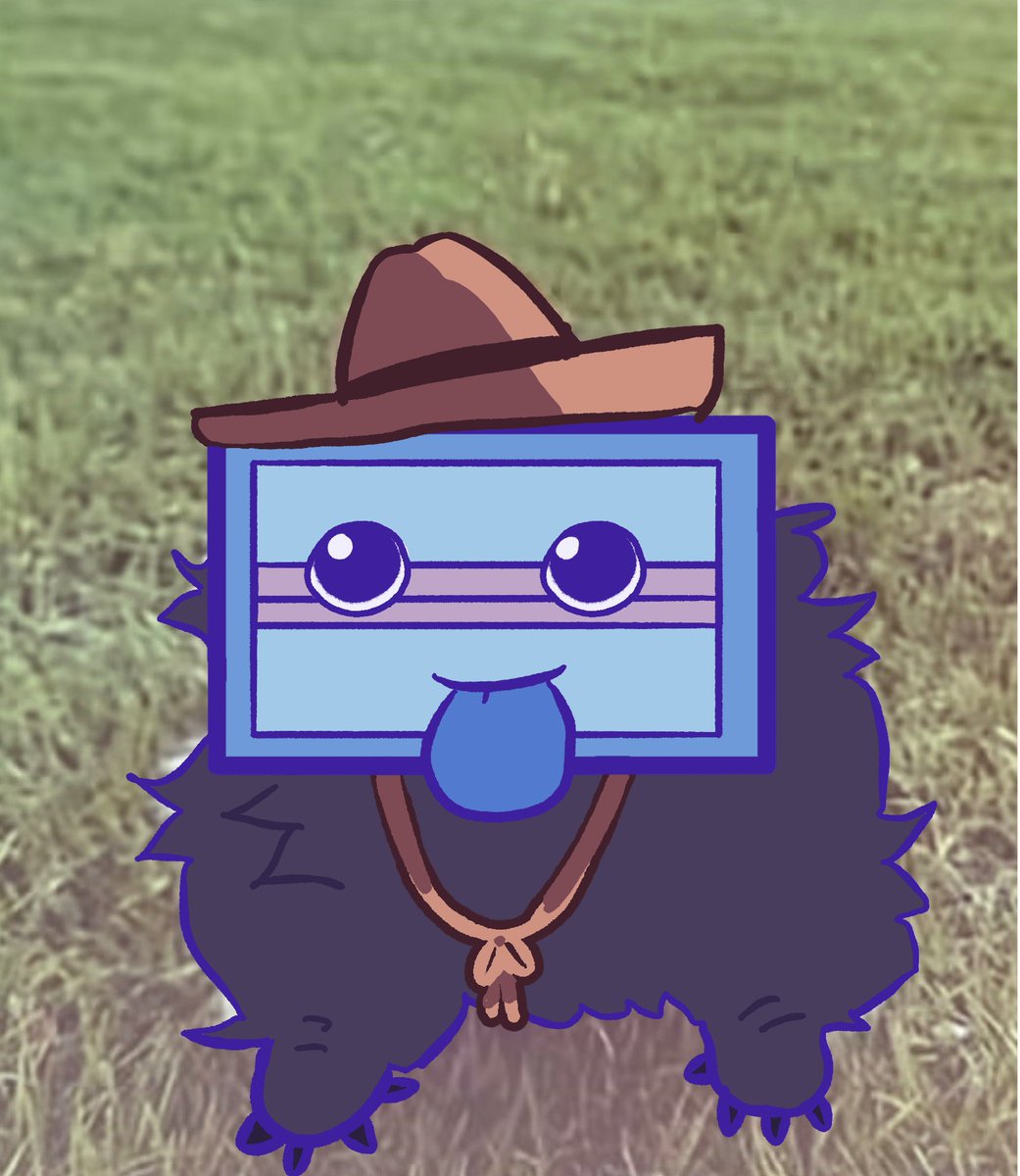 sir meow 🐾 tweet media