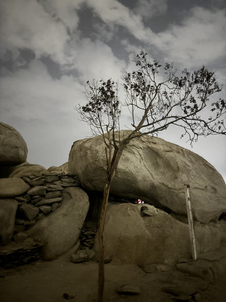 المنيعيه💚 tweet media