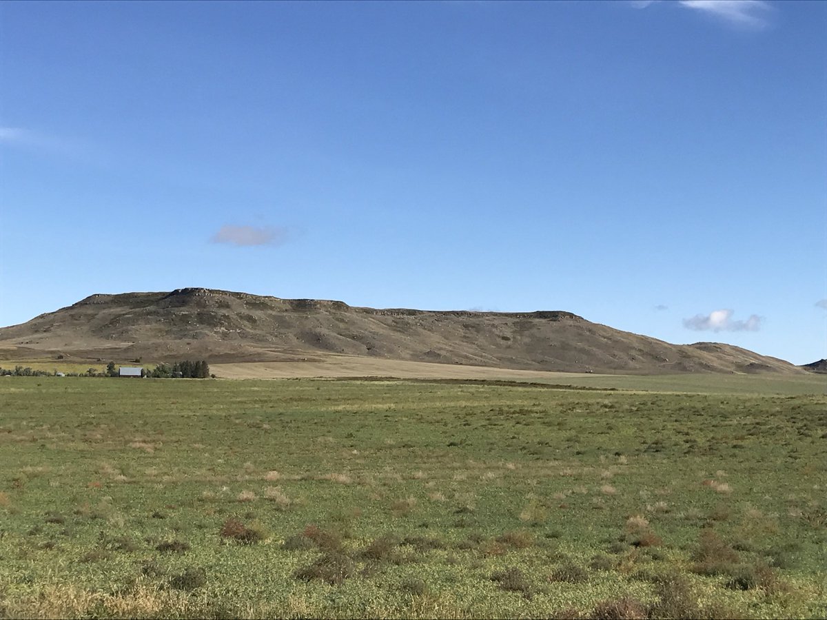 Bobcat Man tweet media