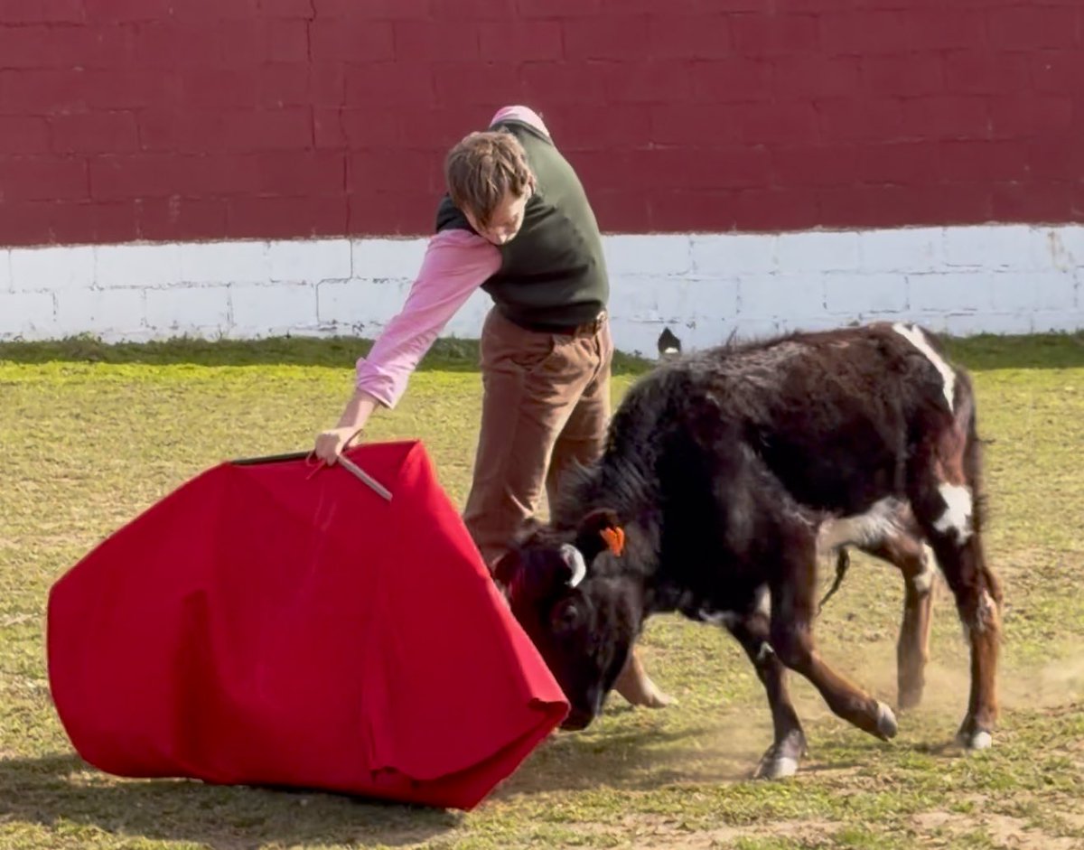 Ignacio Olmos tweet media