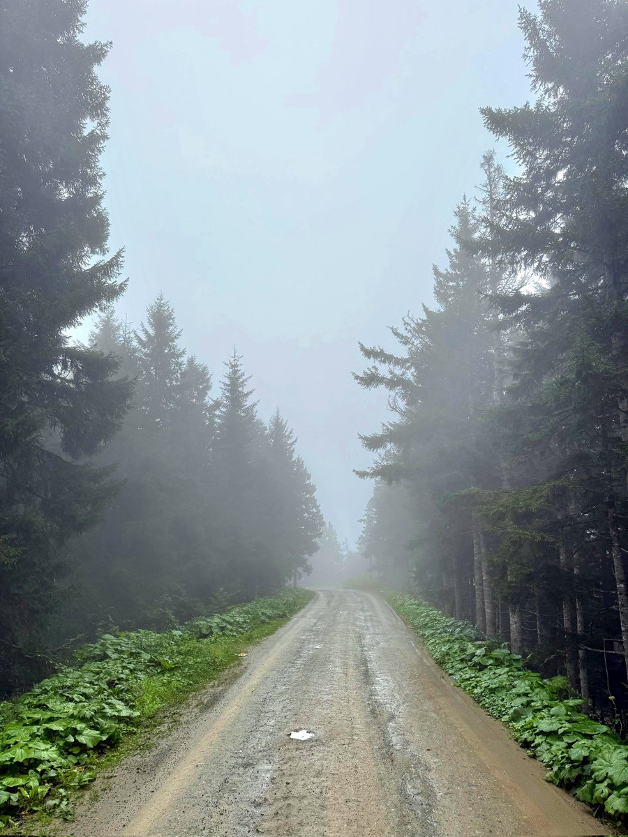 swlozrtk's tweet photo. Gurme Trabzonlular bilir ("Y" eksikliği) 🏔⛰️🚶‍♀️Rakım yükseltmemiz gereken konular var 👇 https://t.co/oZgfKlnK8v