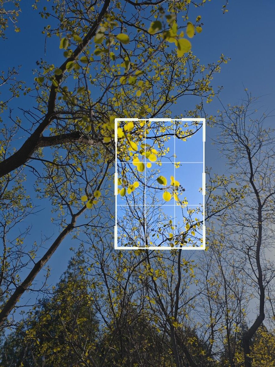 Rita do G.B&G.F tweet media