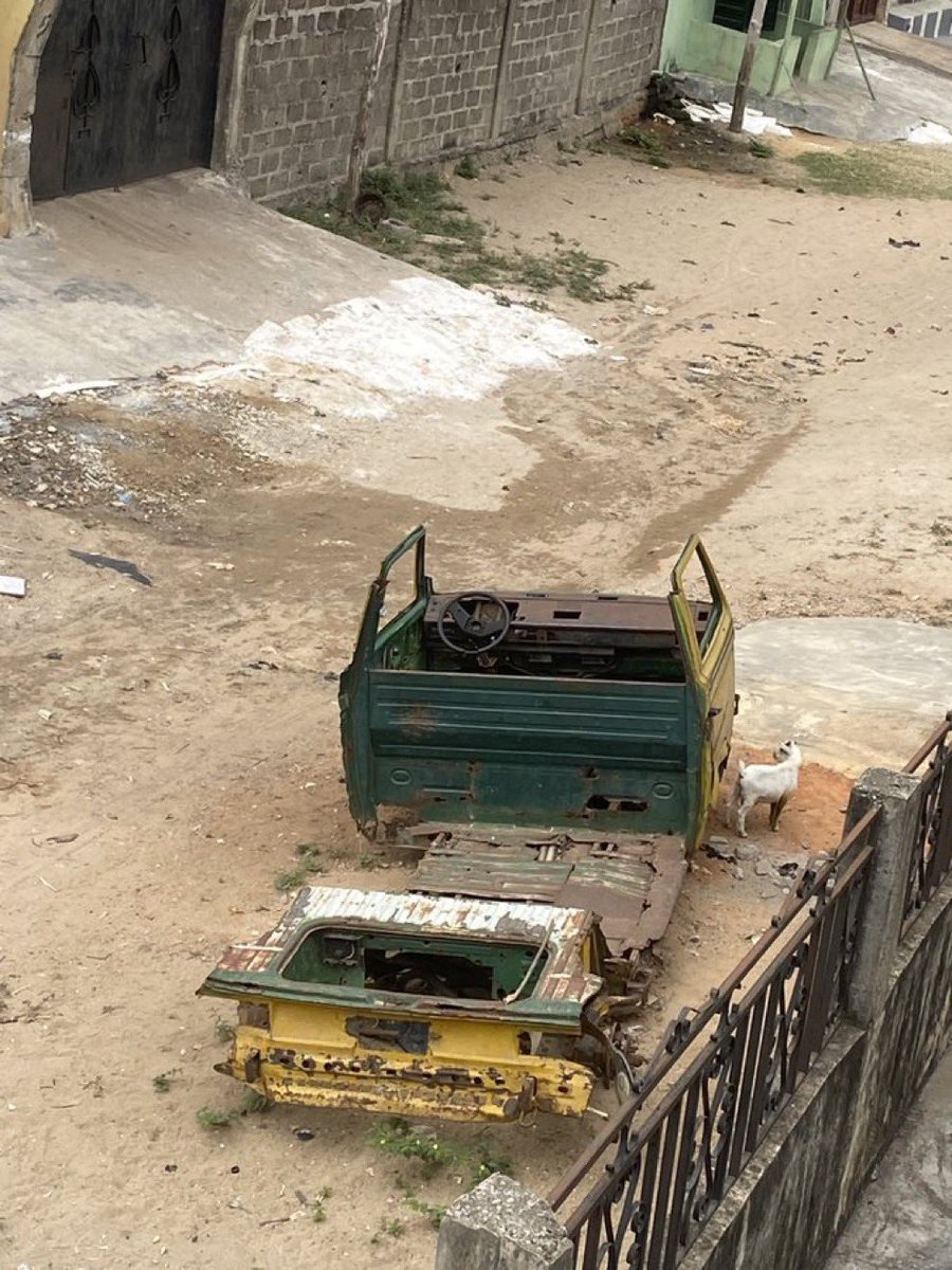 Big stepper tweet media