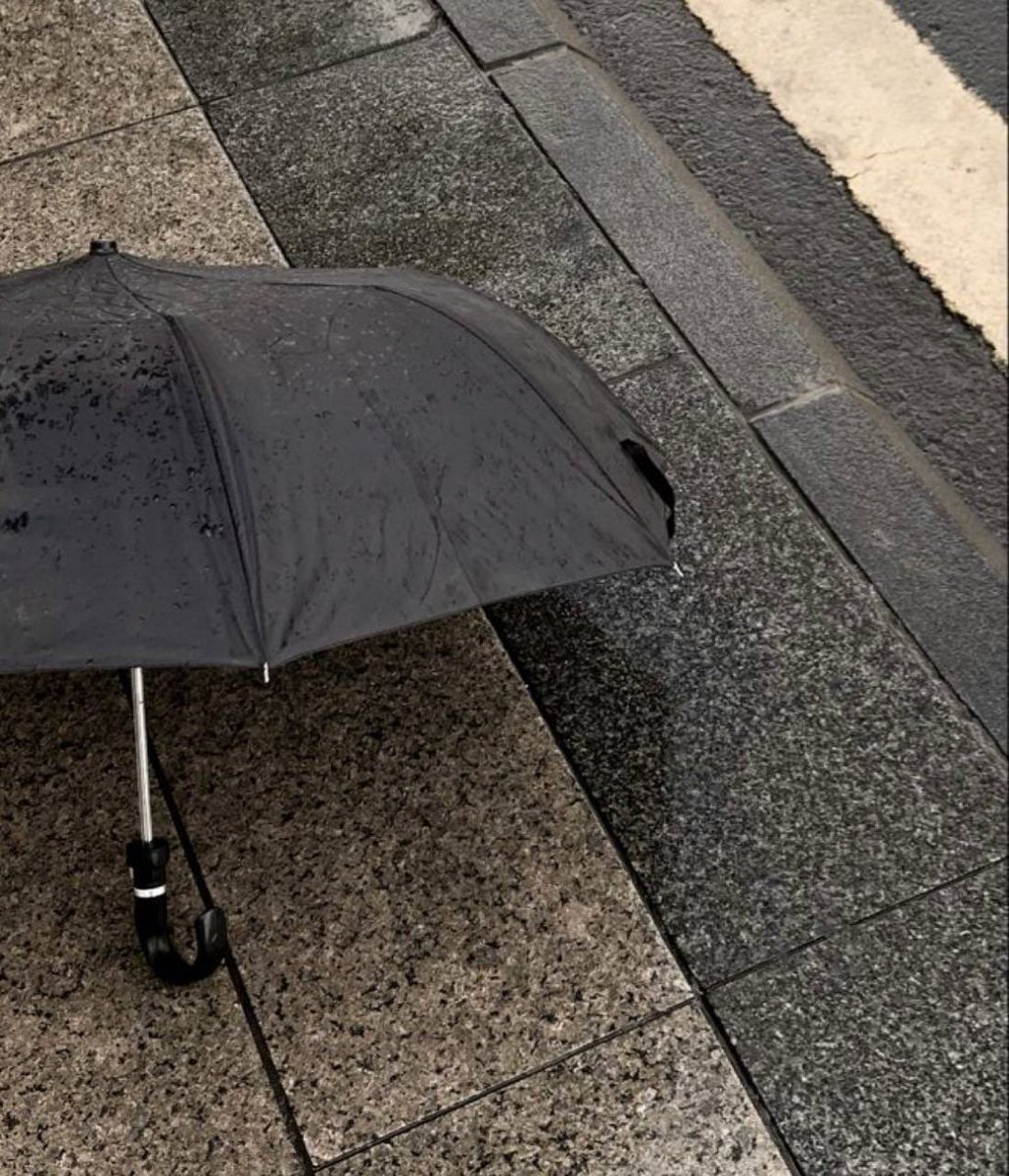 ‏ ‏‏ ❀ ᴺᴬᴰᴬ ❀ tweet media