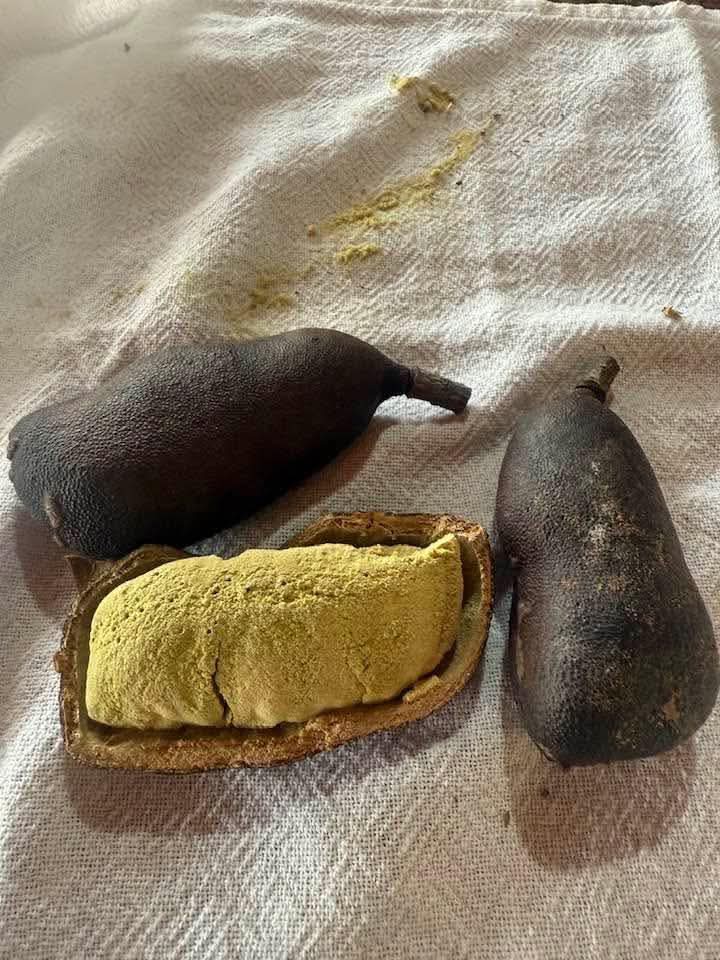 Eagle🦅 tweet media