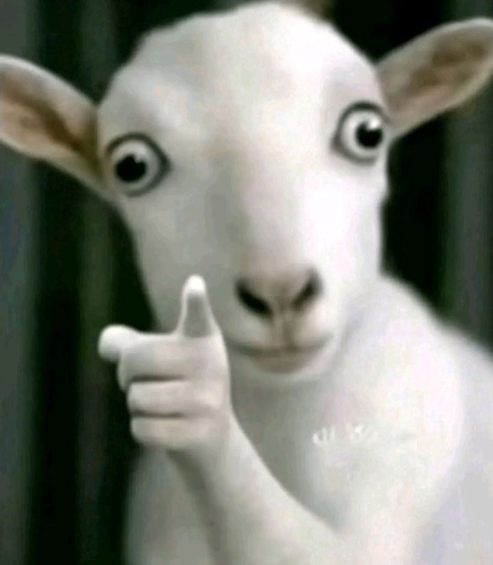 Sam (Interop Enjoyoor 💜) tweet media