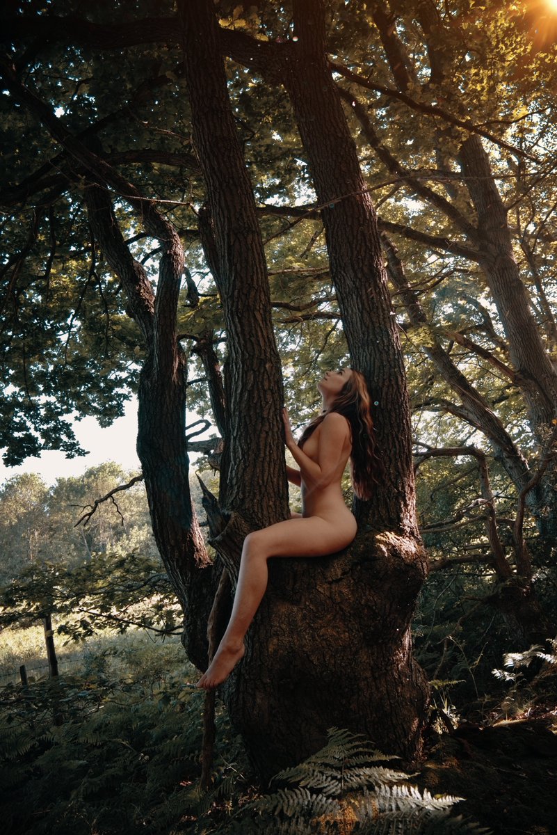 Leafy's Feet tweet media