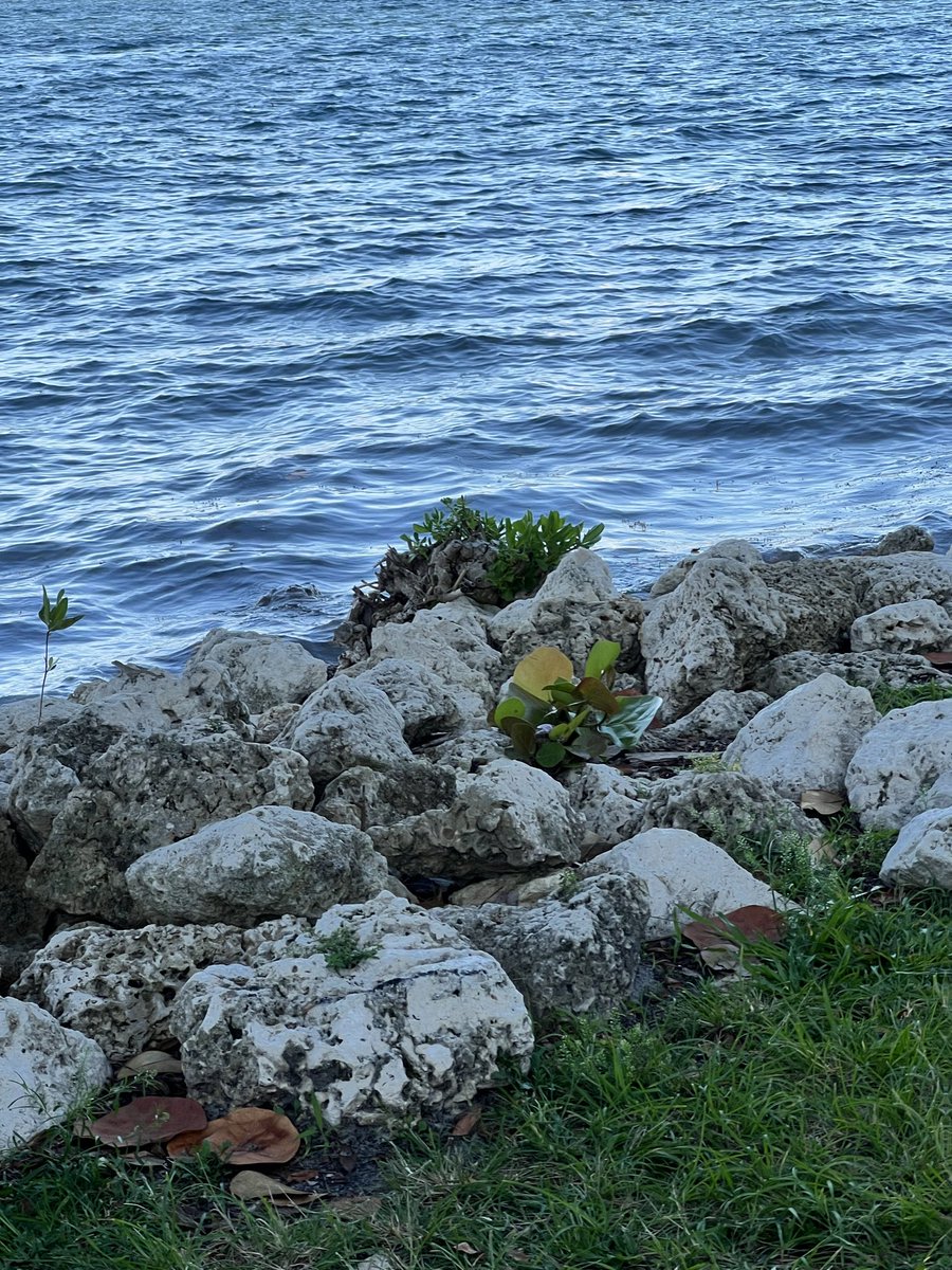 ţară ♿☸🎡 { 𝔅ℜ𝔊 } tweet media