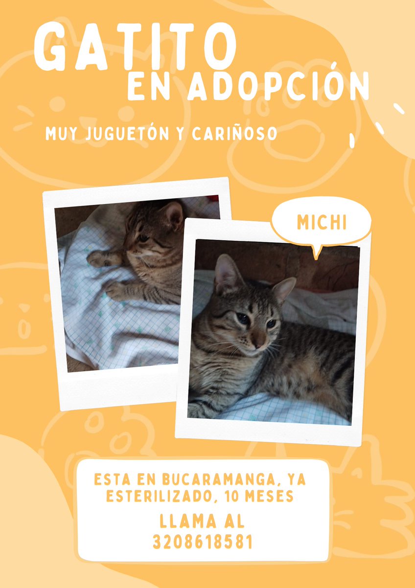 Alejandra monroy tweet media