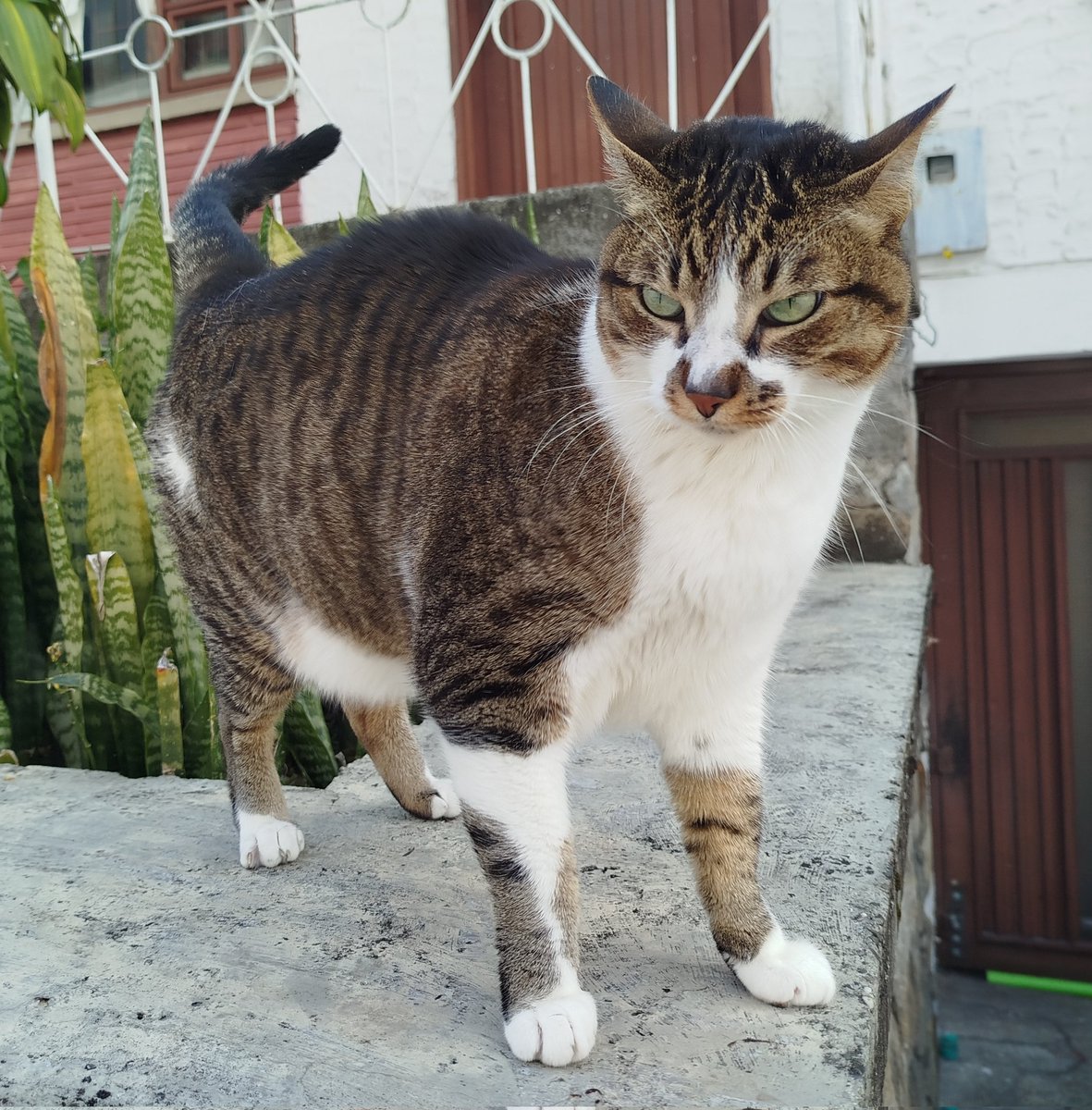 Dani💫 tweet media