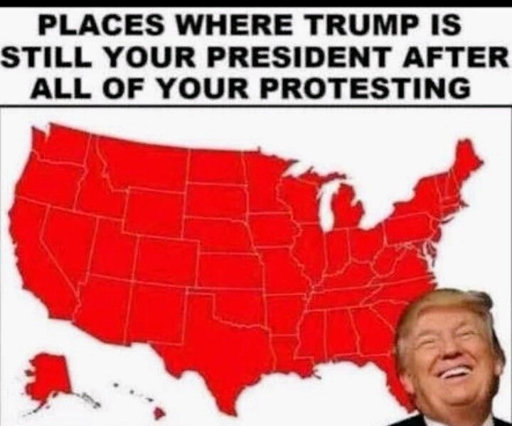 SparksN123 tweet media