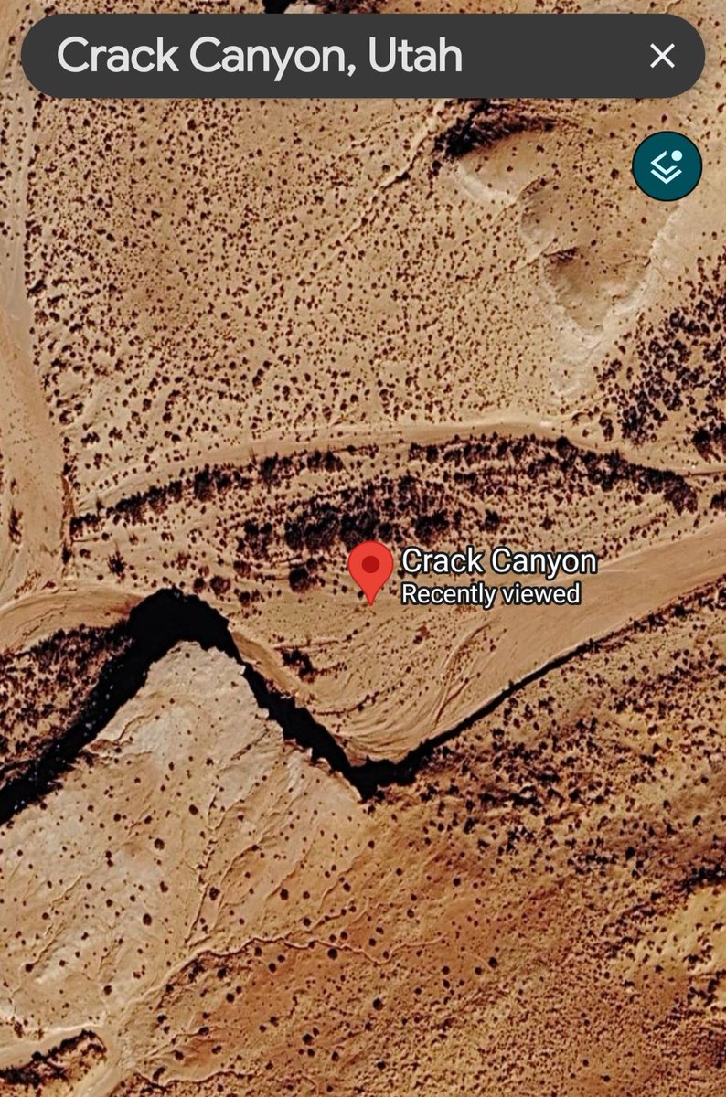 Noli Me Calcare 1776 tweet media