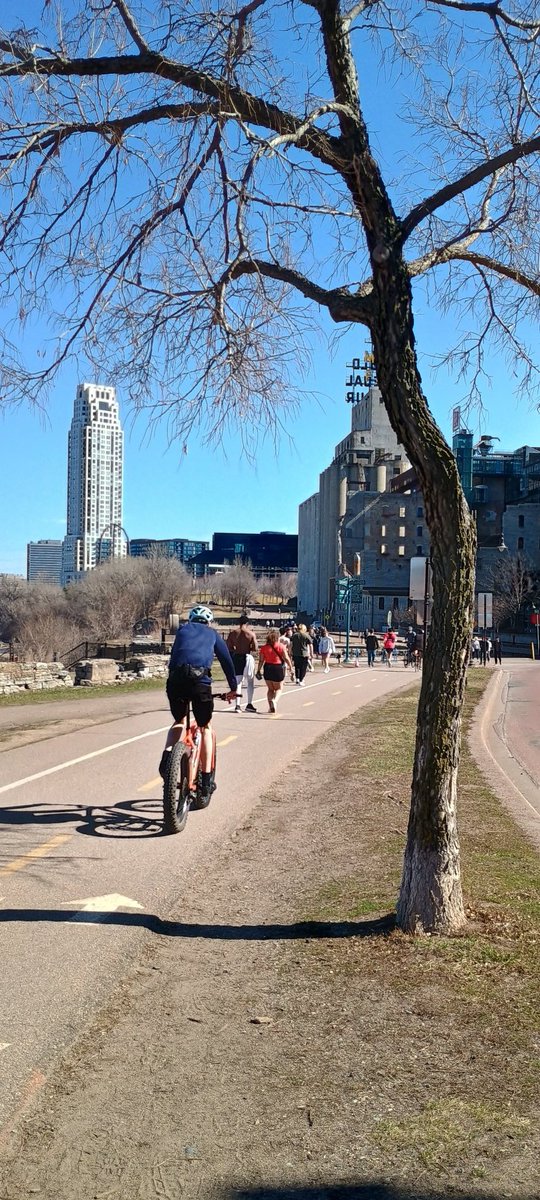 The Real GOP 🇺🇸 tweet media