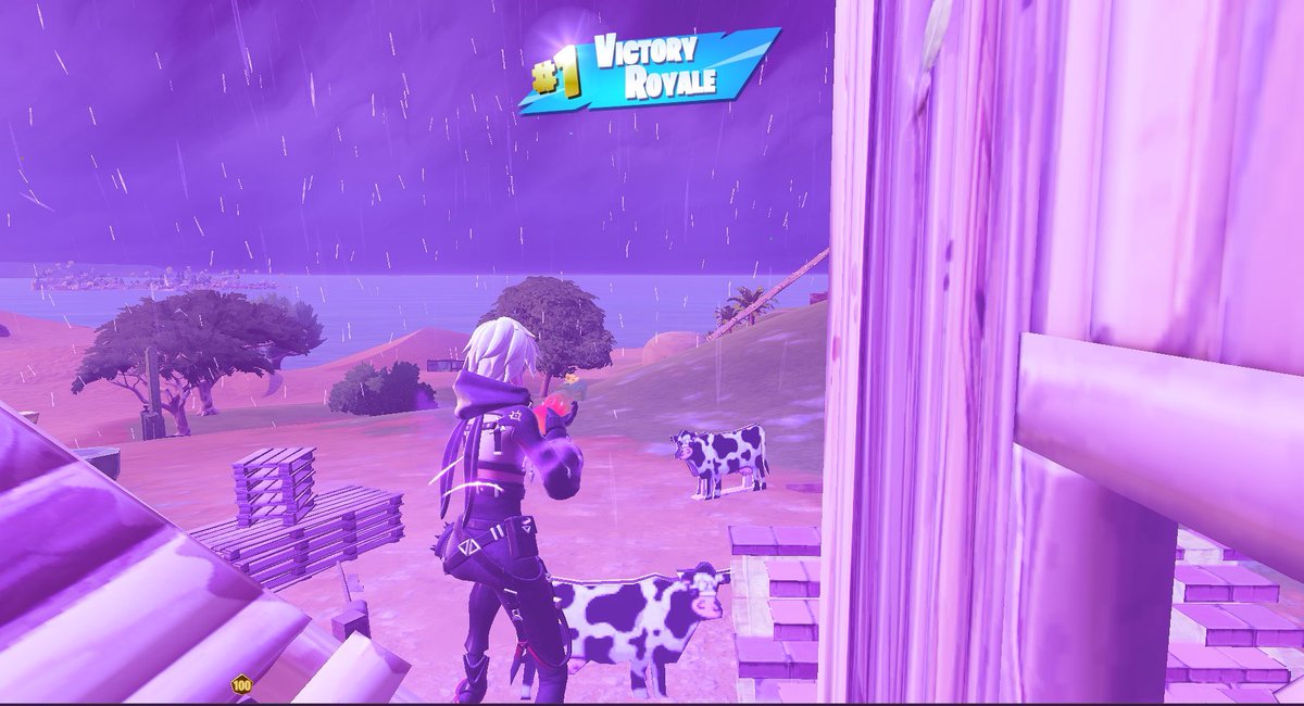 rapitfnbr's tweet photo. 100$ https://t.co/dxCxeuW5cu