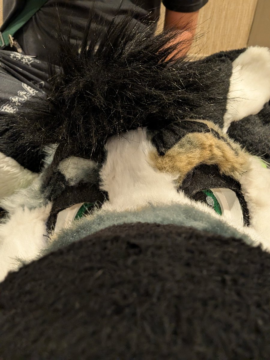 RykerMutt's tweet photo. He #TFF2026 https://t.co/POTbk990g3