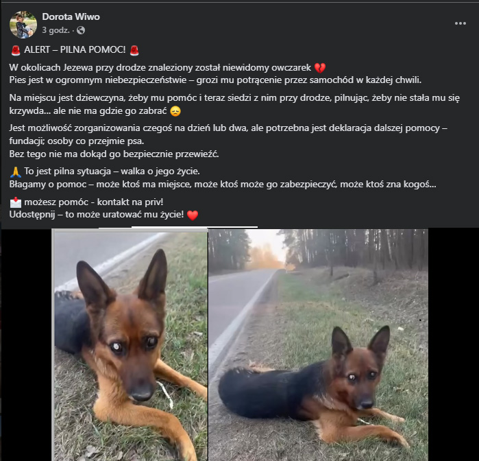 olga ᓚᘏᗢ tweet media