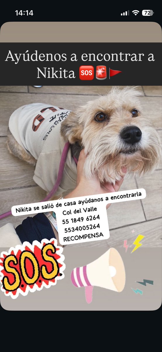 AnimalesCDMX tweet media