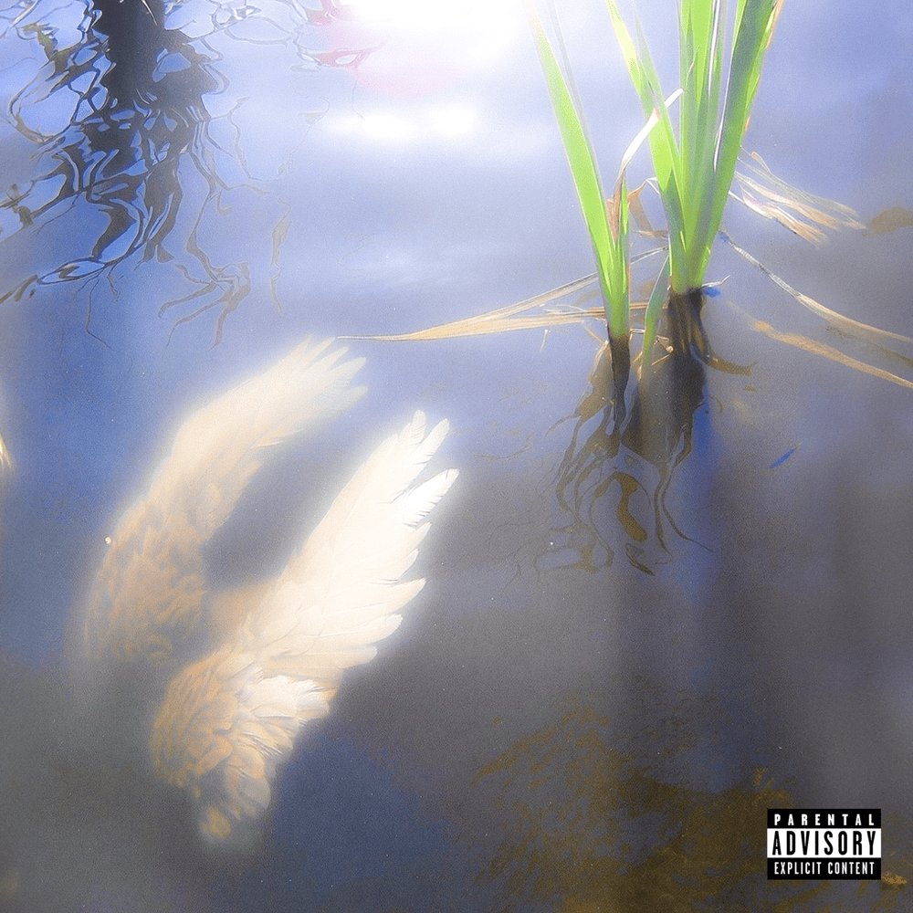 Under News tweet media