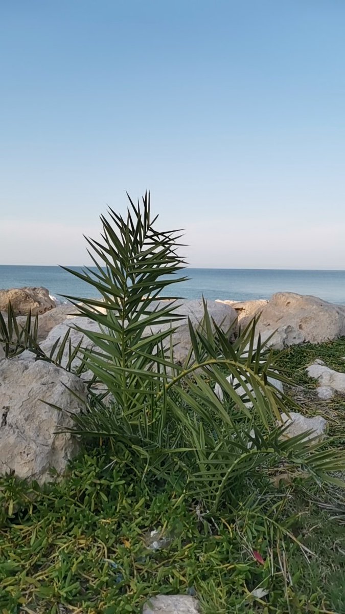 🌹 ام نجد 🌹 tweet media