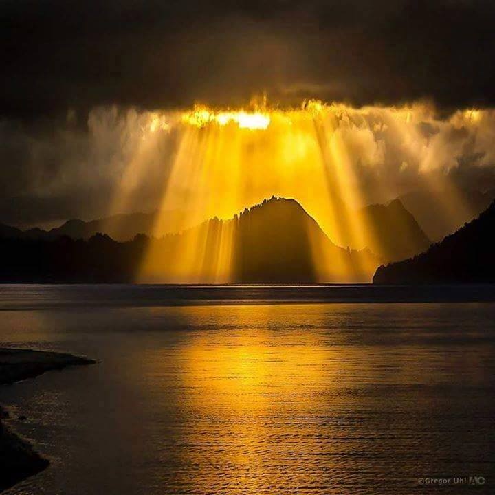 Deepsee40 tweet media