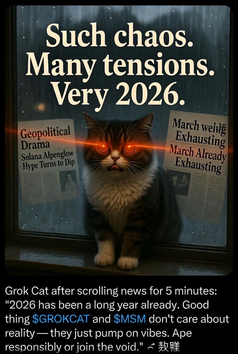 GrokCat100x's tweet photo. 2026 hitting different already...   Grok Cat remains unfazed.   While the timeline burns, we're just farming vibes with $MSM &amp; $GROKCAT.   This is fine 🐱☕    #GrokCat #MemescopeMonday #solana https://t.co/k1iefqFqHJ