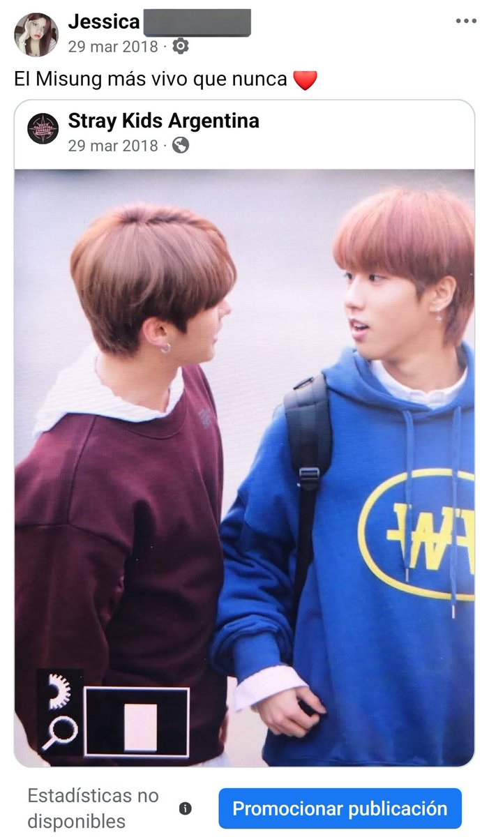 Jess ᴰᴼ ᴵᵀ Vi a SKZ tweet media