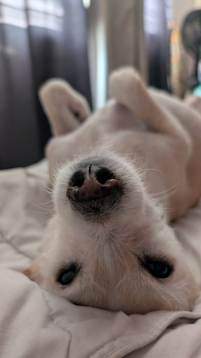 janadrian tweet media