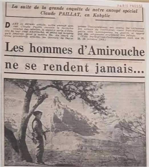 Algerian Military History 🇩🇿 tweet media