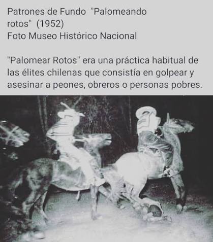 Rodrigo Alfonso 🔬🧬🦠🩸 tweet media