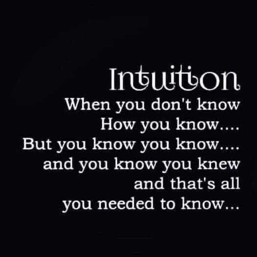 SellersDale's tweet image. #Intuition is a useful #guide. It may not make sense in the moment but when we let go of the #ego and #follow our #intuition, we're usually relieved that we did. Indeed, we receive the #test first and then learn the #lesson, not like in school. #guidance
dalesellers.com