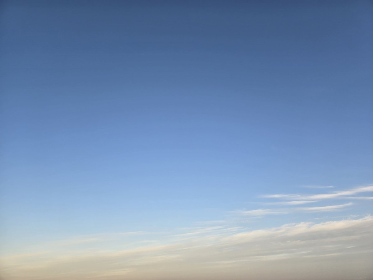 Ynana216 tweet media