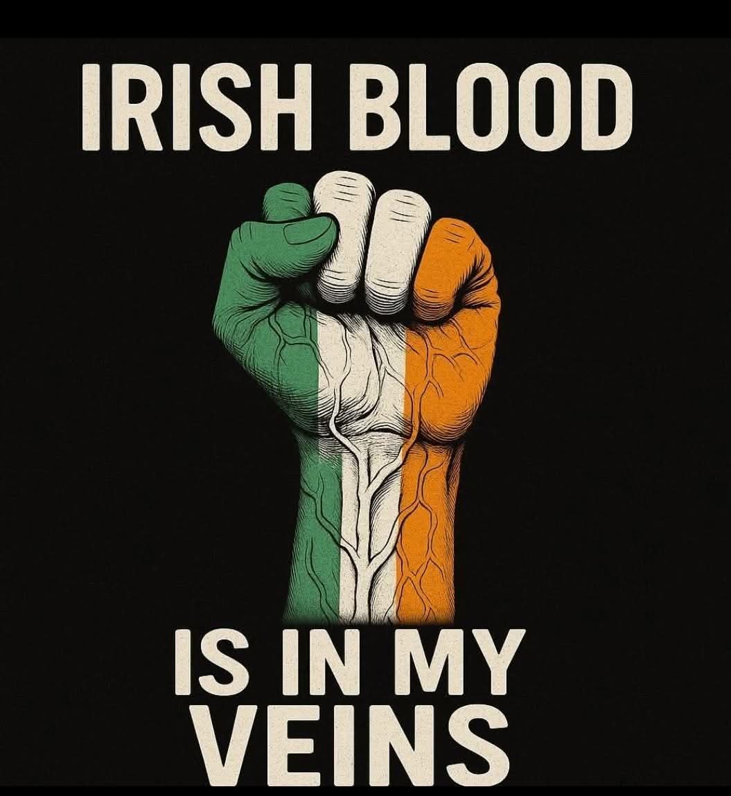 ╰┈➤ 🇮🇪 𝐁𝗋ó𐓣ƶy 🇮🇪 tweet media