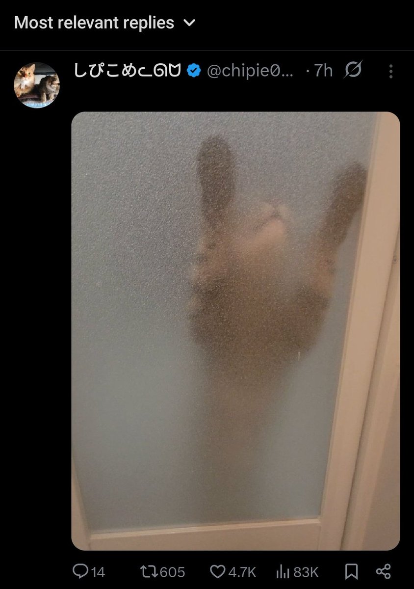 Actually_Tina_Fanfest_Bound_FFXIV tweet media