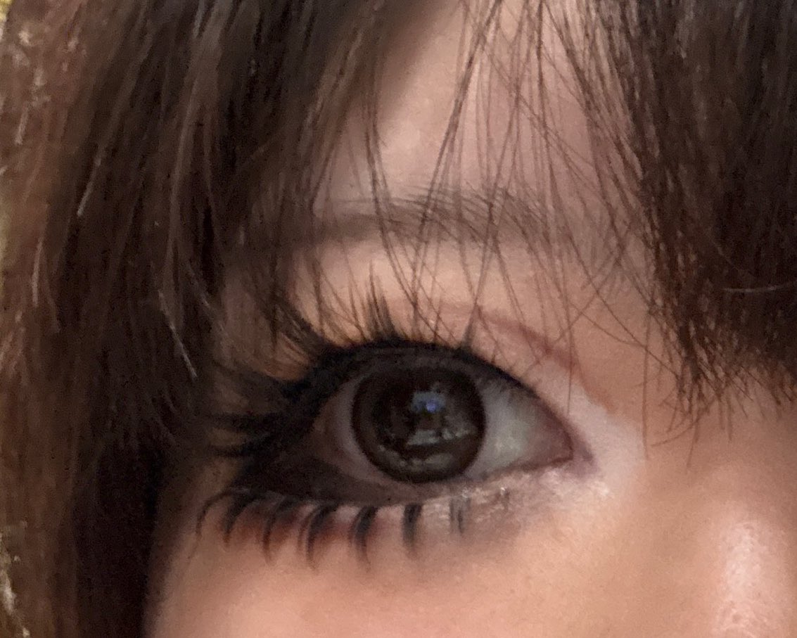 せいこ🐄ギルド赤坂見附 tweet media