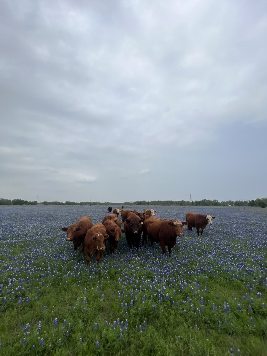 Zackary Russell tweet media